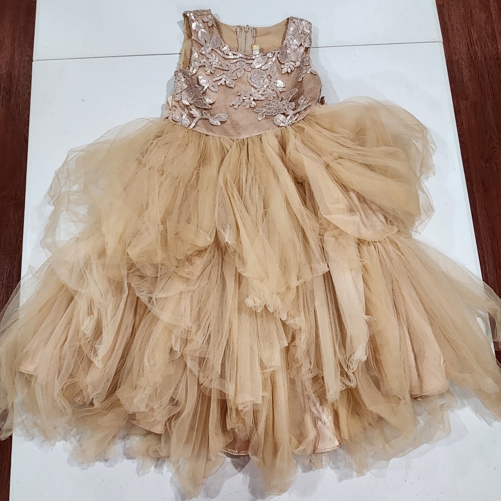 Petite Adele Elegant Gold Kids Tulle Alluring Dress Champagne Ballet
